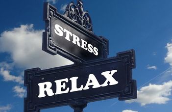 STRESSZMENEDZSMENT TRÉNING ONLINE!